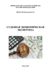 Судебная экономическая экспертиза