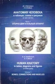 Анатомия человека в таблицах, схемах и рисунках . В трех частях. Часть 1. Опорно-двигательный аппарат=Human anatomyin tables, diagrams and figures. In three parts. Volume 1. Bones, connections and muscles