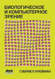 Биологическое и компьютерное зрение