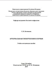 Артериальная гипертензия и почки