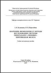 Анатомия, физиология и методы исследования системы гипоталамус–гипофиз–щитовидная железа