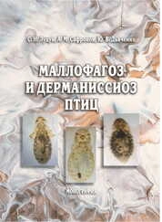 Маллофагоз и дерманиссиоз птиц