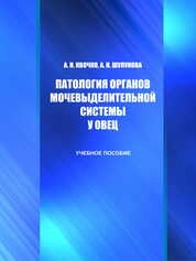 Патология органов мочевыделительной системы у овец
