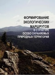 Формирование экологических маршрутов в структуре особо охраняемых природных территорий