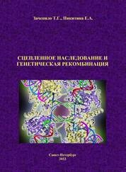 Сцепленное наследование и генетическая рекомбинация