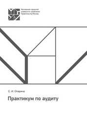 Практикум по аудиту