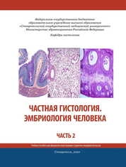 Частная гистология. Эмбриология человека. Часть 2