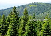 World forestry