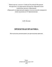 Проектная практика: методические рекомендации для прохождения практики