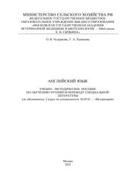Английский язык