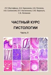 Частный курс гистологии. В 2-х частях. Часть 2