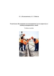 Техническое обслуживание железнодорожного пути скоростных и особогрузонапряженных линий : практикум