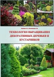 Технология выращивания декоративных деревьев и кустарников