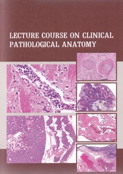 Lecture course on clinical pathological anatomy