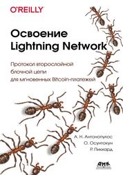 Освоение Lightning Network. Протокол второслойной блочной цепи для мгновенных Bitcoin-платежей