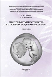 Изменчивость и постоянство в строении сердца плодов человека