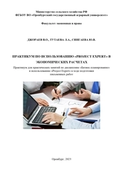 Практикум по использованию «Project expert» в экономических расчетах