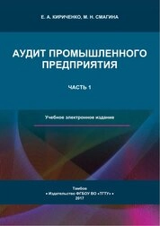 Аудит промышленного предприятия. В 2 ч. Ч. 1