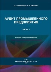 Аудит промышленного предприятия. В 2 ч. Ч. 2