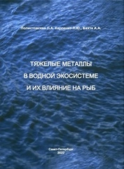 Тяжелые металлы в водной экосистеме и их влияние на рыб