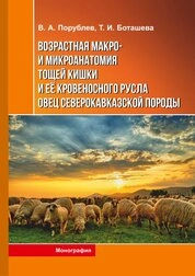 Возрастная макро- и микроанатомия тощей кишки и ее кровеносного русла овец северокавказской породы