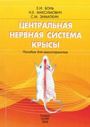 Центральная нервная система крысы