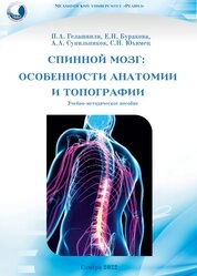 Спинной мозг: особенности анатомии и топографии