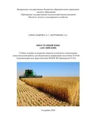 Иностранный язык (английский)