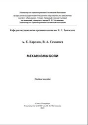 Механизмы боли