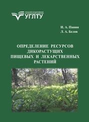 Определение ресурсов дикорастущих пищевых и лекарственных растений