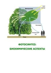 Фотосинтез: биохимические аспекты
