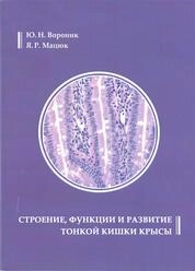 Строение, функции и развитие тонкой кишки крысы