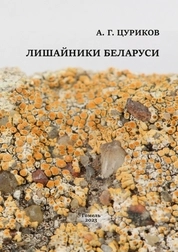 Лишайники Беларуси