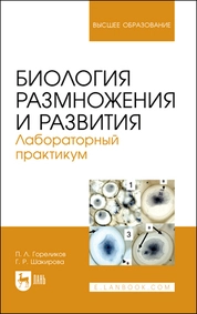 Биология размножения и развития. Лабораторный практикум