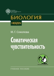 Соматическая чувствительность
