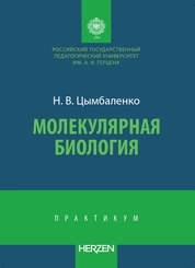 Молекулярная биология: практикум