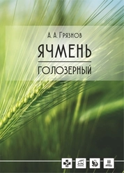 Ячмень голозерный