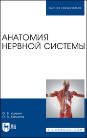 Анатомия нервной системы
