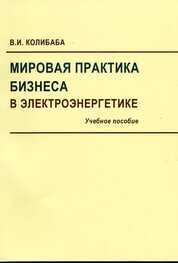 Мировая практика бизнеса в электроэнергетике