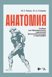 Анатомия