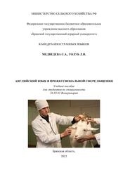 Английский язык в профессиональной сфере общения