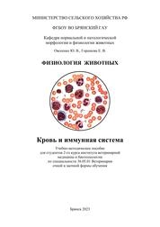 Кровь и иммунная система