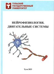 Нейрофизиология. Двигательные системы