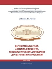 Вестибулярная система: анатомия, физиология, синдромы поражения, заболевания с вестибулярными нарушениям