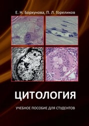 Цитология