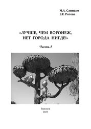 «Лучше, чем Воронеж, нет города нигде!». Часть I