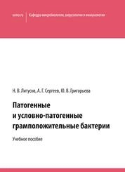 Патогенные и условно-патогенные грамположительные бактерии