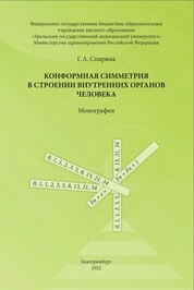 Конформная симметрия в строении внутренних органов человека