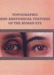 Topographic and anatomical features of the human eye