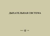 Дыхательная система